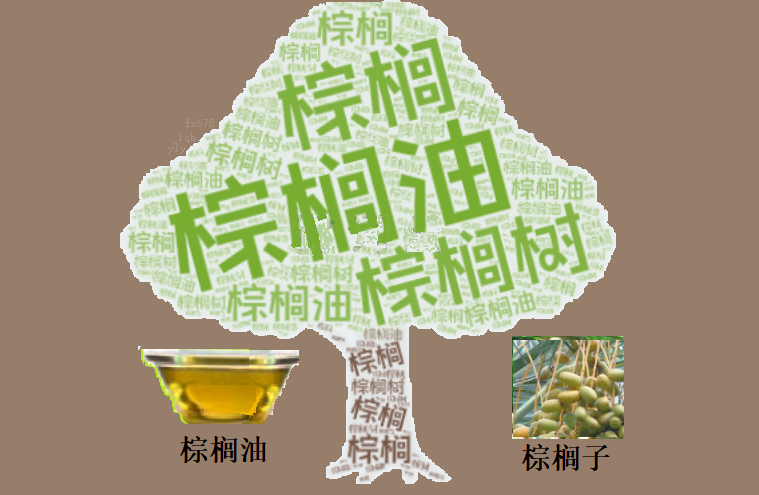 FxPro浦汇开户:棕榈油短线“走位”迷局:最新数据透露三大信号!